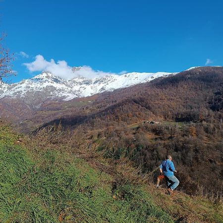 Bbb Bed&Breakfast Bagneri Muzzano Dış mekan fotoğraf